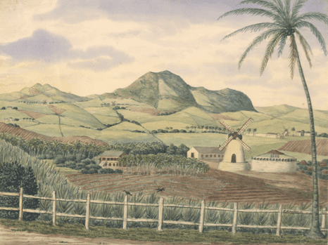 Morning Star, Queen's Quarter, St. Croix, whose owners were Friedrich Holmsted, 1736; Nicolaj Tuit, 1749; and Peter Lotharius Oxholm, 1786. (Image courtesy St. Croix Landmark Society Archives)