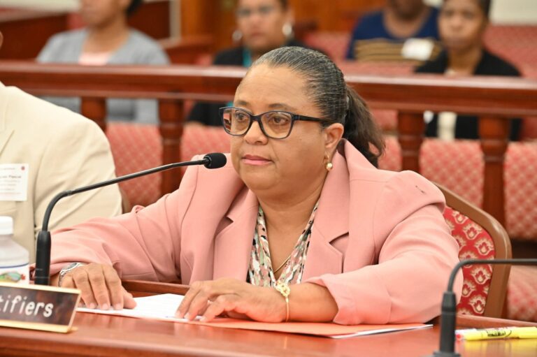 Agencies Detail Frustrations and Shortfalls as Senate Reviews $17M in Budget Requests