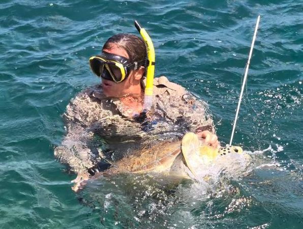 Claudia Lombard from U.S. Fish and Wildlife Service bringing the speared turtle to shore after safely catching it. (Photo courtesy STAR)