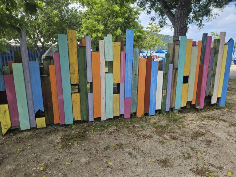 Magens Bay Authority Board Addresses Pay Raises, Sargassum, Artwork Relocation