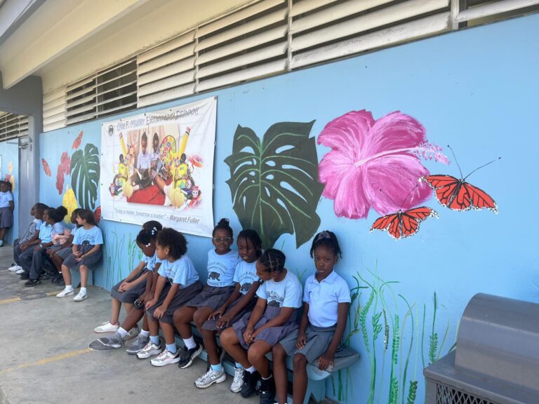 VIWMA Completes Another Mural; This Time at Ulla Muller Elementary School