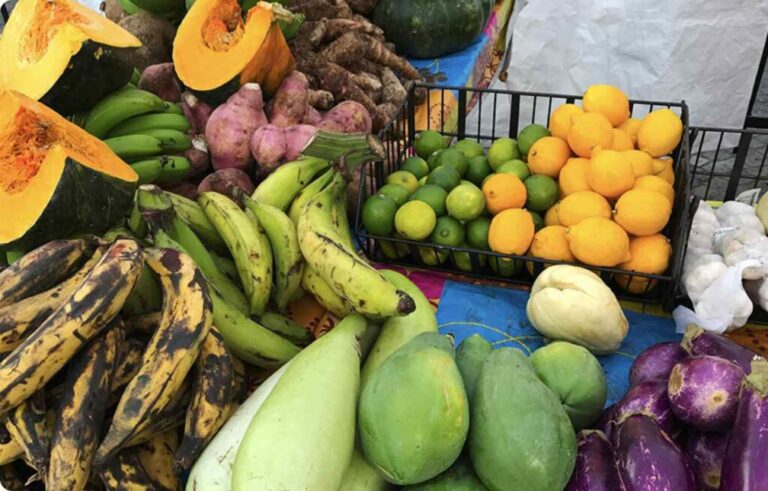 Food and Farm Council Holds St. Croix Town Hall Meeting