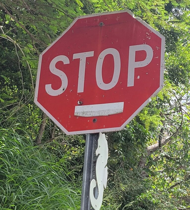 Op-Ed: Bowing to the Spirit of the Law: Stop Signs and Lights