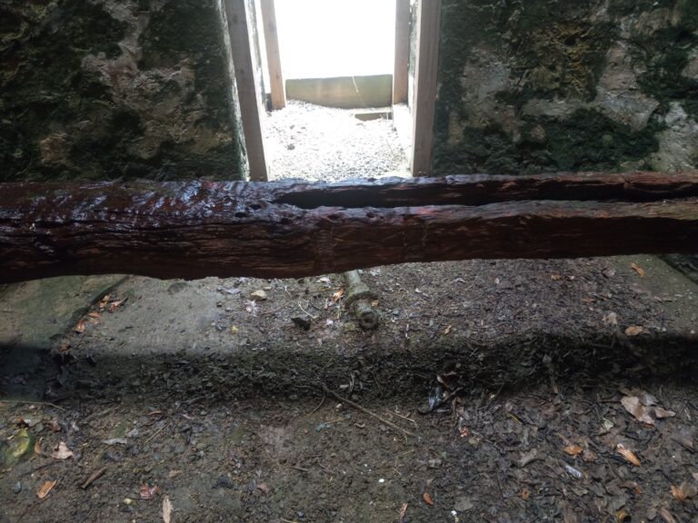 Op-Ed: Exploring the V.I.’s Maroon Country, Part 3