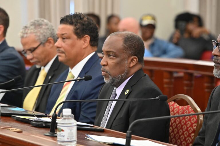 Senators Press Developers, WAPA and VIPA in Hours-Long Hearing on Solar Farms and Crown Bay Overhaul