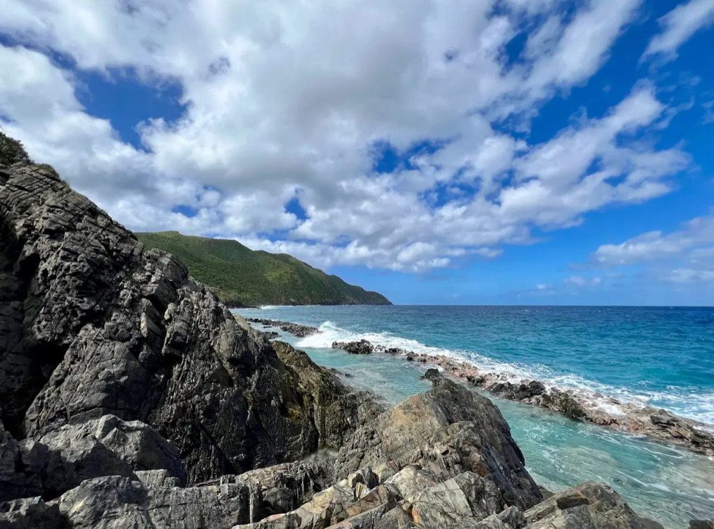 The story of the park’s underlying geology has its origins in the Cretaceous Period 80 million years ago when the planet’s mammalian life was just beginning to diversify. (Photo courtesy DPNR)