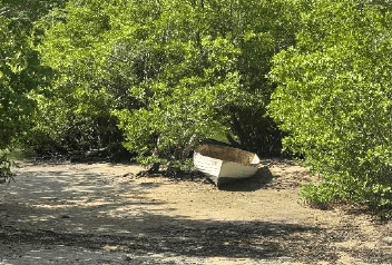 The Mandahl Bay Clean Up Friday and Saturday