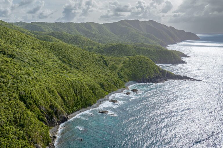 Science Saturdays Connects the V.I. Community to the Natural World