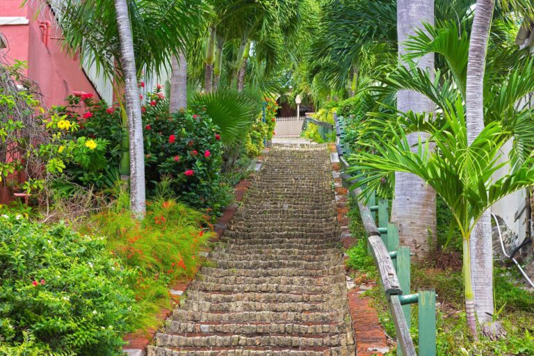 Step Street Tour Concludes 2025 Season with Holiday Themed Walking Excursion