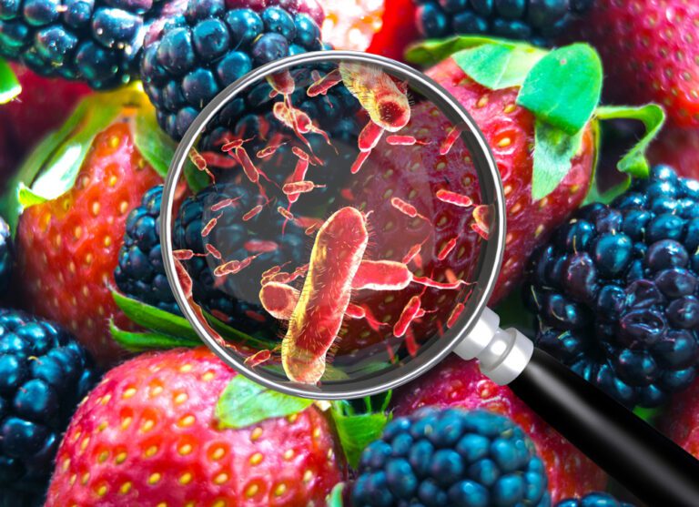 Health Department Launches Portal to Report Food, Waterborne Illnesses