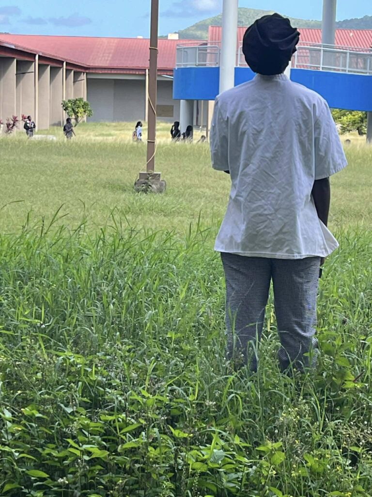 Grass Cutting Concerns at St. Croix Public Schools Prompt Contract Update from Maintenance Bureau