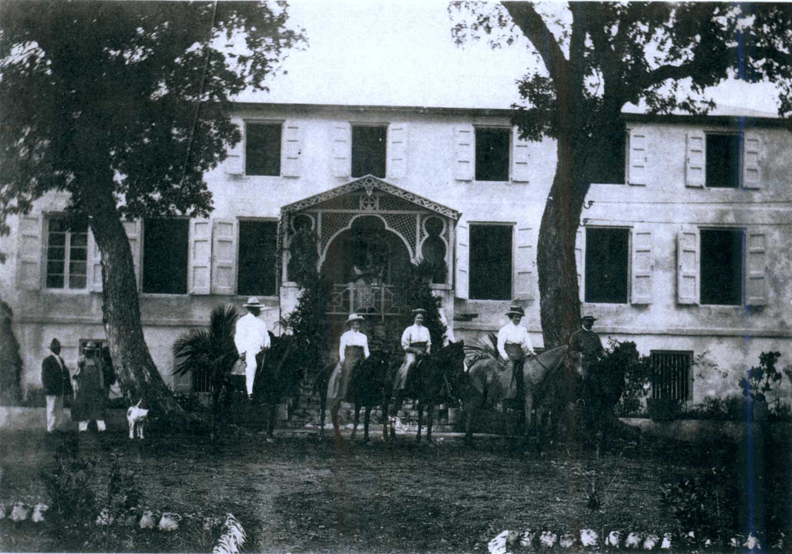 In the old days of St. Croix a riding party, as it was called locally, was common around the island. This is Estate Prosperity in the 1920s with a local riding party in front of the great house. (Photo courtesy the late Erik Lawaetz) 