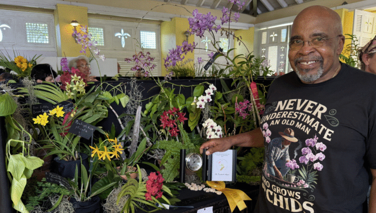 Orchids for All Seasons: A Celebration in Brilliant Color for Orchid Lovers