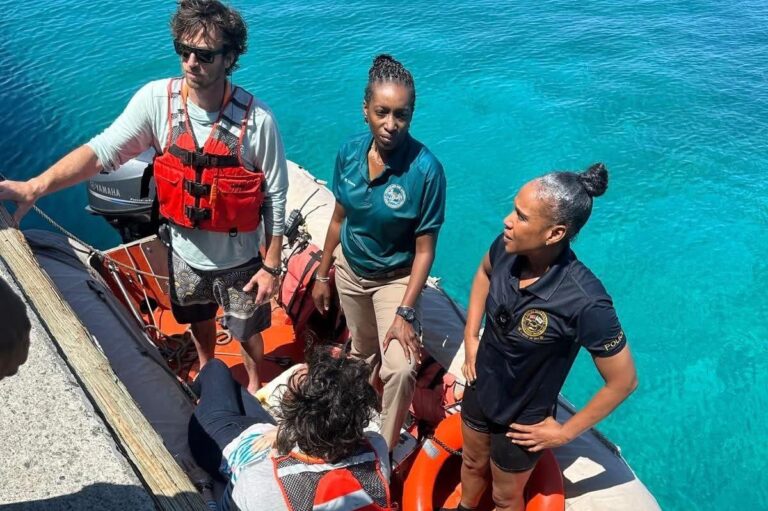Cruise Passenger Rescued After Falling From St. Croix Pier