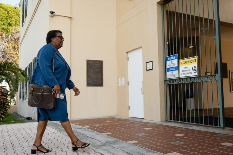 Settlement Reached in Democratic Party, Elections Primary Kerfuffle