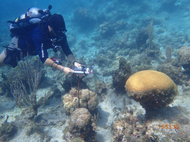 Time-lapse Cameras Deployed to Monitor Coral Spawning on St. Thomas North Shore