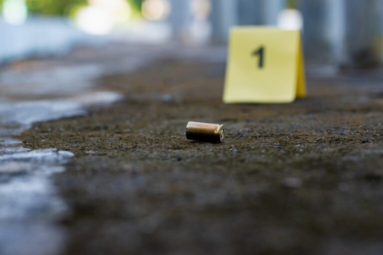 A Contemplation on Gun Violence in Verse