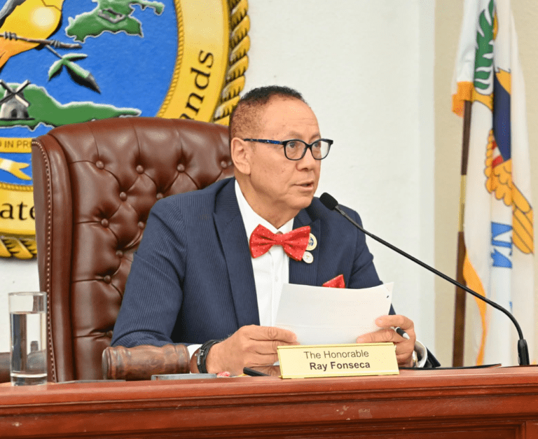 Senate Committee Reviews Territory’s Mental and Behavioral Health System