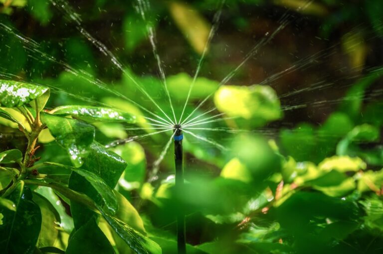 STT Community Invited to Irrigation Workshop at Bordeaux Farmers’ Market