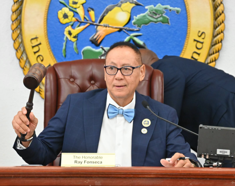 VIWMA Faces Questions From Health Committee Over Plan, Timeline for $3.2 Billion Wastewater Overhaul