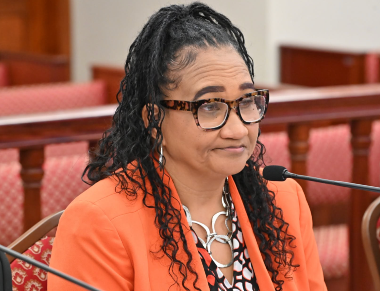 Education Department Updates Committee on School Reconstruction Progress