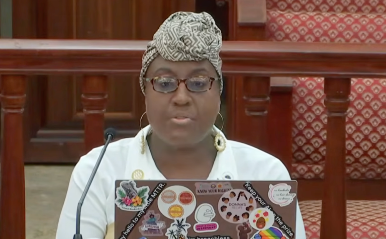 Committee Reviews State of Nursing Homes, Hears Facilities Are Not Ready for Federal Certification